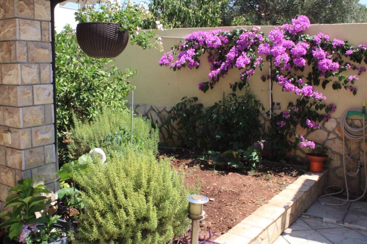 Apartments Villa Macola Trogir Dış mekan fotoğraf